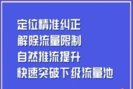 同城账号付费投放运营优化提升，...