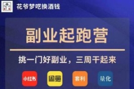 花爷副业起跑营·第4期，挑一门...