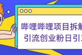 哔哩哔哩项目拆解引流创业粉日引...