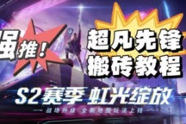 外面卖2980的网易超凡先锋自动挂...