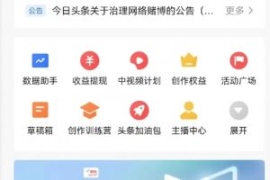 全新蓝海，西瓜视频流量掘金项目...