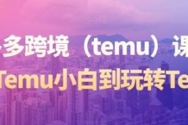 拼多多跨境（temu）课程，从Temu...