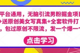 全平台通用，无脑引流男粉掘金项...