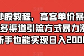 靠炒股教程，高客单价暴力变现，...