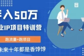 创业IP年入50W核心方法，未来10...