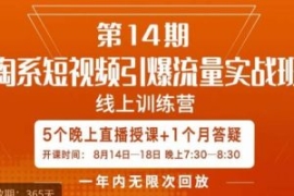 南掌柜·淘系短视频引爆流量实战...