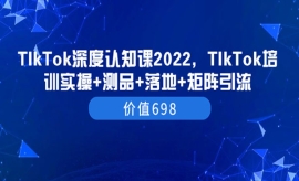 《第九期》TIkTok深度认知课2022...