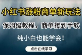 小红书涨粉商单新玩法，保姆级教...