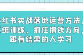小红书实战落地运营方法，系统训...
