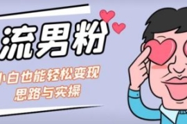 引流男粉+小白也能暴力变现的思...