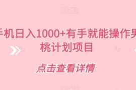 一部手机日入1000+有手就能操作...