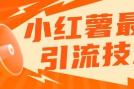 小红书最新引流技术，真正实现解...