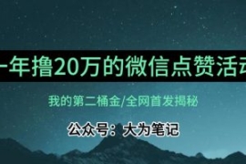 【保姆级教学】全网独家揭秘，年...