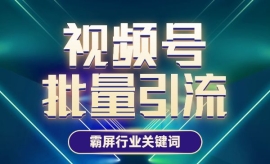 《第101期》视频号批量引流，霸...