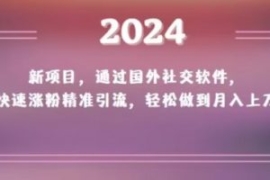 2024新项目，通过国外社交软件，...