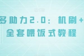 拼多多助力2.0：机刷+人工全套喂...