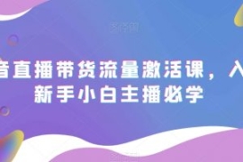 抖音直播带货流量激活课，入行新...
